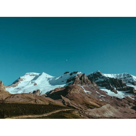 Synergistic Leather Watch fr-FR